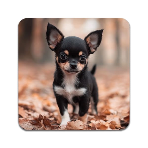 2 ST Hund Chihuahua Underlägg