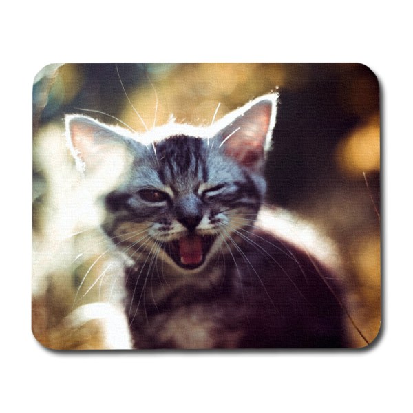 Skrattande Katt Musmatta multifärg one size dfc3 | Fyndiq