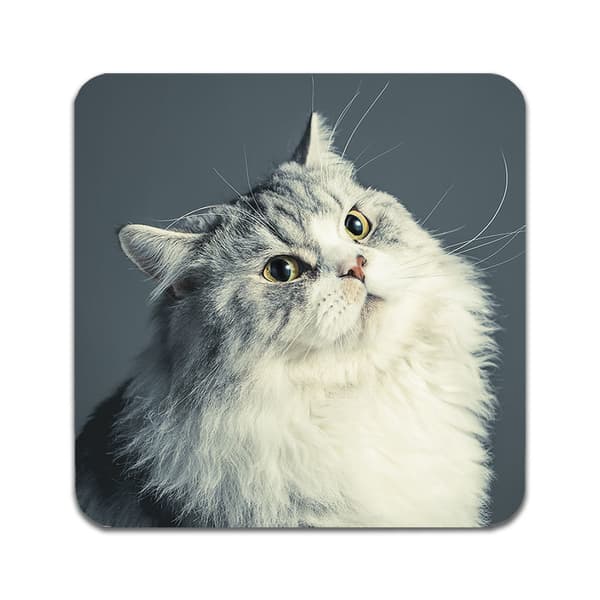 2 ST Katt Perser Underlägg