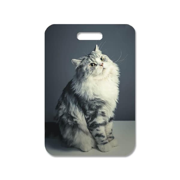 Katt Perser Väskhänge,Handväska Charm