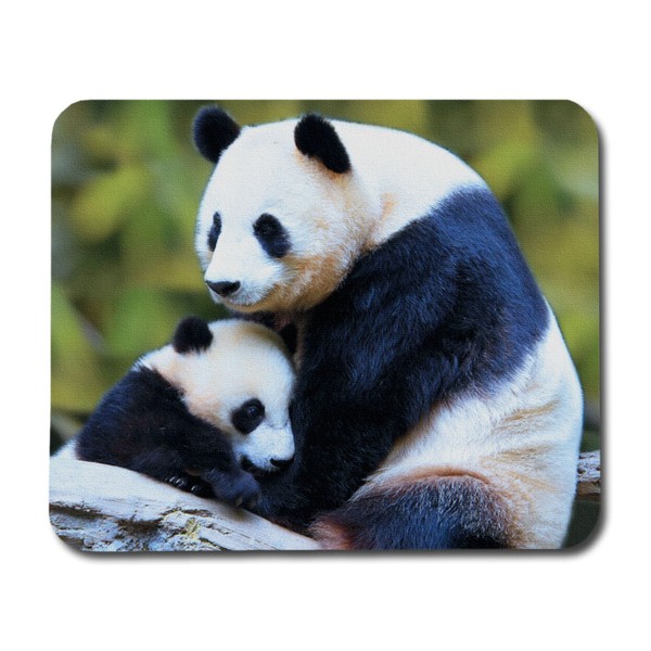 Panda Mamma & Cub Musmatta