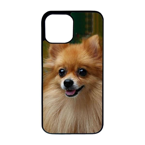 Hund Pomeranian iPhone 15 Plus Skal