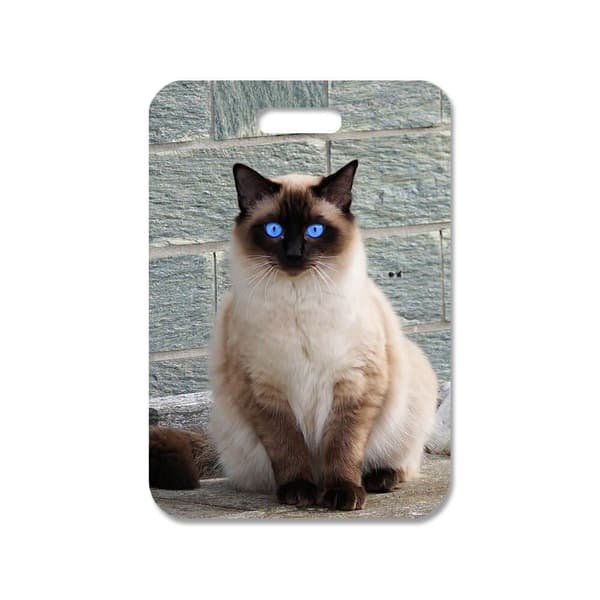 Katt Siames Väskhänge,Handväska Charm