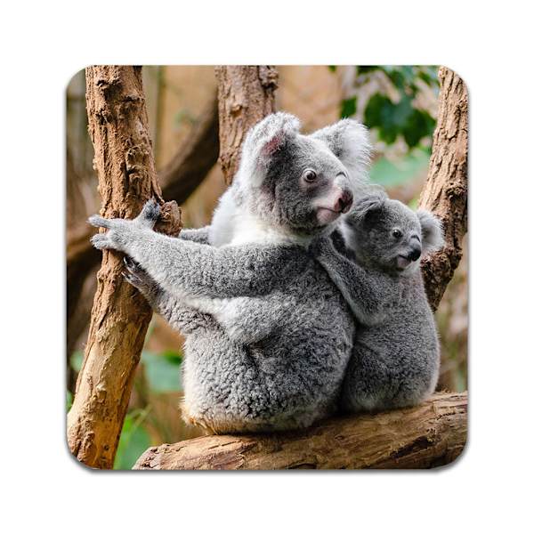 2 ST Koala Underlägg