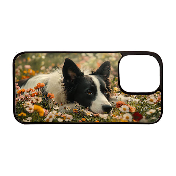 Hund Border Collie iPhone 12 / iPhone 12 Pro Mobiltelefon Skal