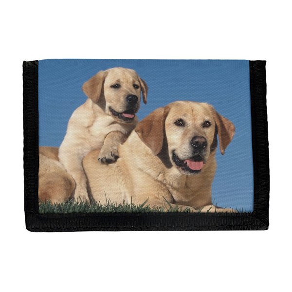 Gula Labrador Plånbok
