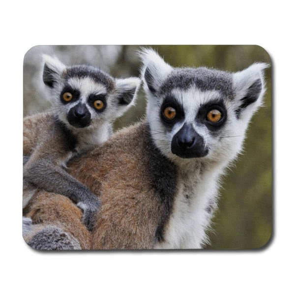 Lemur Mamma & Baby Universal Mobil korthållare multifärg one size