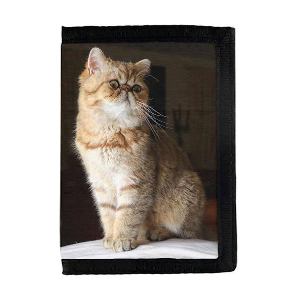 Katt Exotic Korthårig Plånbok
