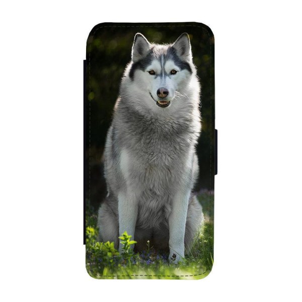 Hund Siberian Husky iPhone 12 Mini Plånboksfodral multifärg