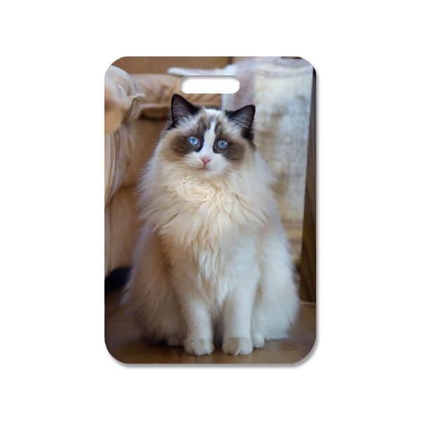 Katt Ragdoll Väskhänge,Handväska Charm