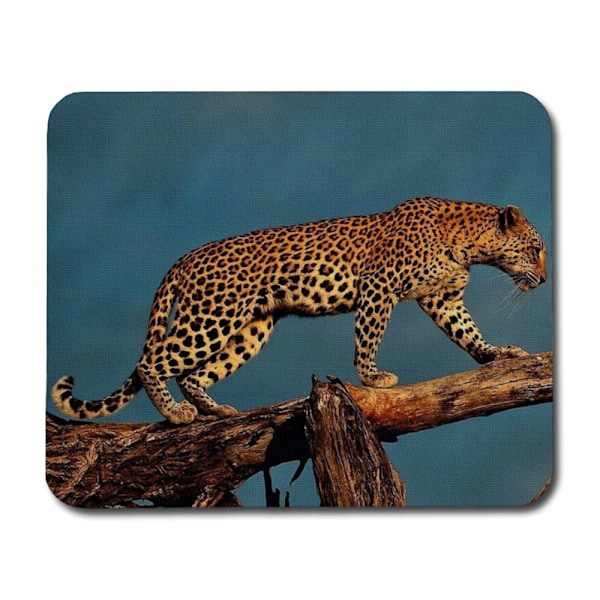 Leopard Musmatta