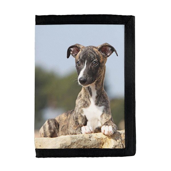 Whippet Valp Plånbok