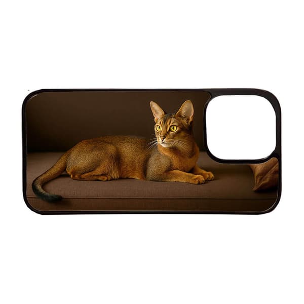 Abessinier Katt iPhone 14 Plus Mobiltelefon Skal