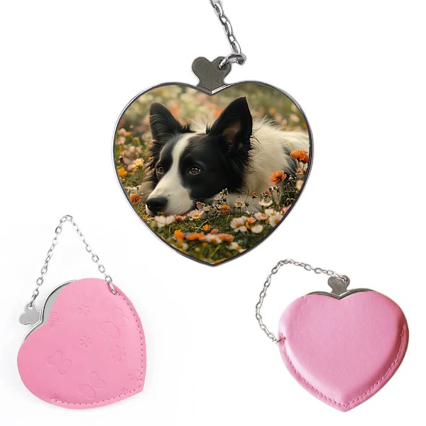 Hund Border Collie Bärbar Kompakt Sminkspegel