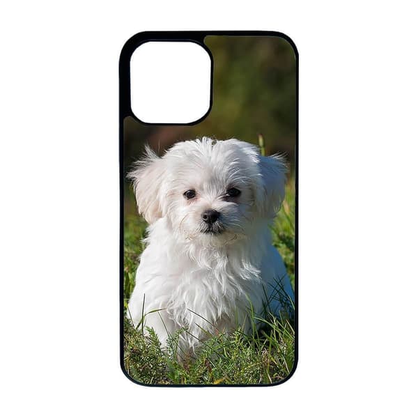 Hund Malteser iPhone 14 Pro Max Skal
