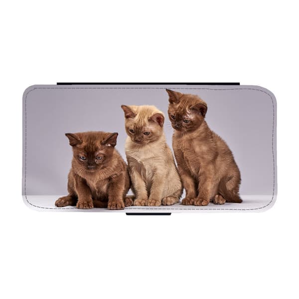 Roliga Katter Google Pixel 6a Flip Mobilfodral