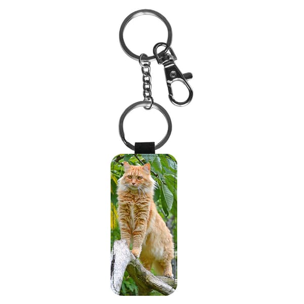 Katt Maine Coon Nyckelring