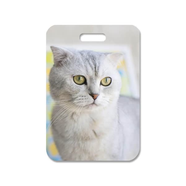 Katt Scottish Fold Väskhänge,Handväska Charm