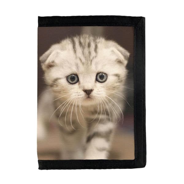 Scottish Fold Kattunge Plånbok