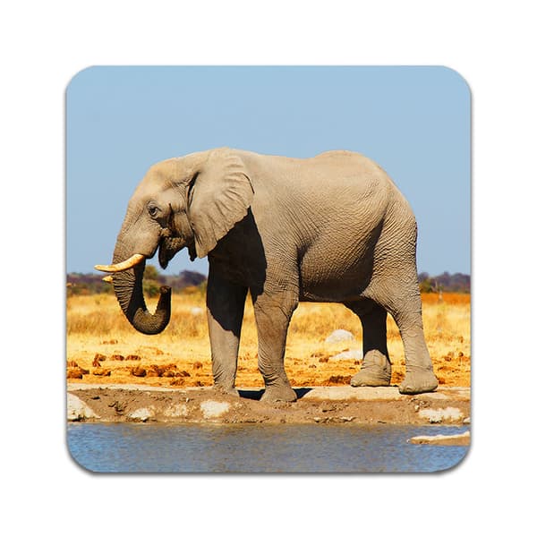 2 ST Elefant Underlägg