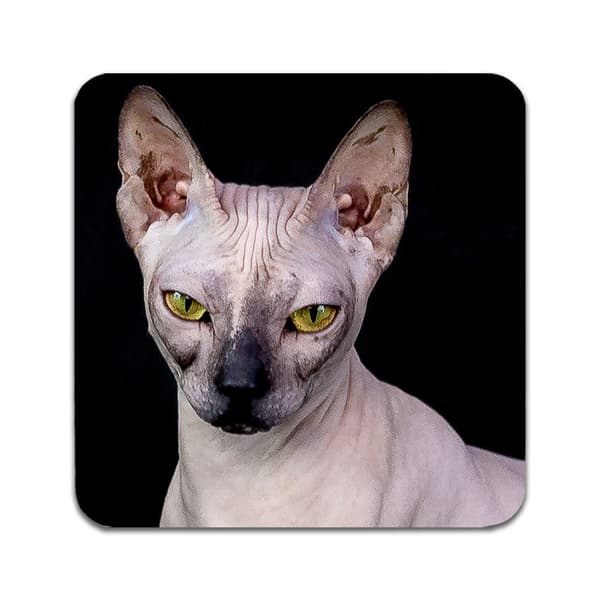 2 ST Katt Sphynx Underlägg