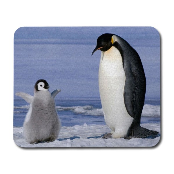 Pingvin Mamma & Pingvinchick Universal Mobil korthållare multifärg one size