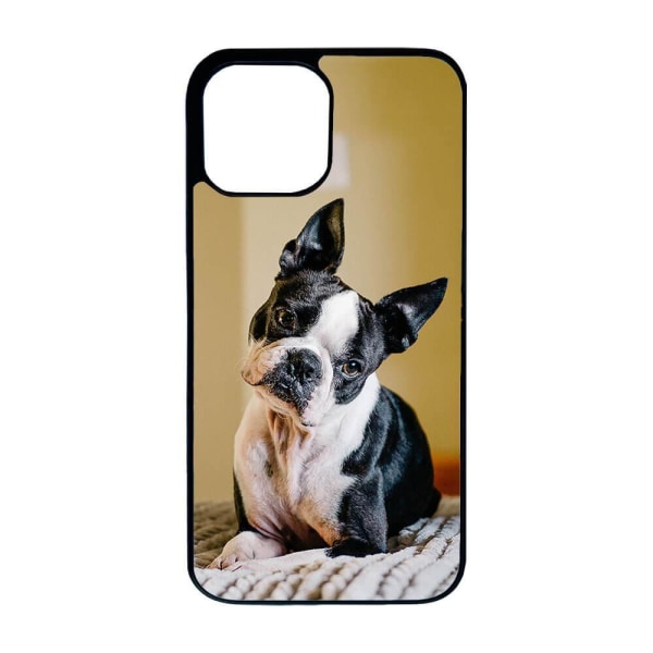 Hund Bostonterrier iPhone 13 Skal multifärg