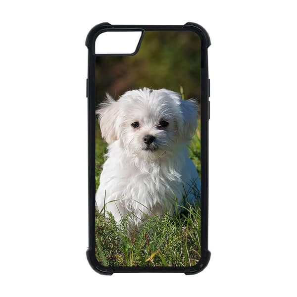 Hund Malteser iPhone SE 2020 Skal
