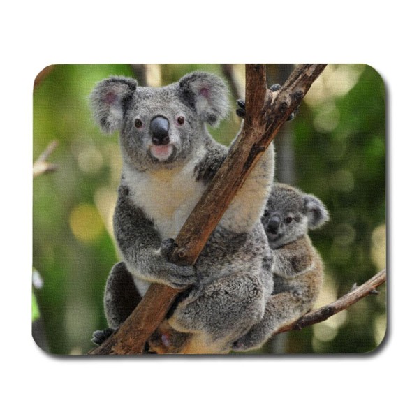 Koala Mamma & Joey Universal Mobil korthållare multifärg one size