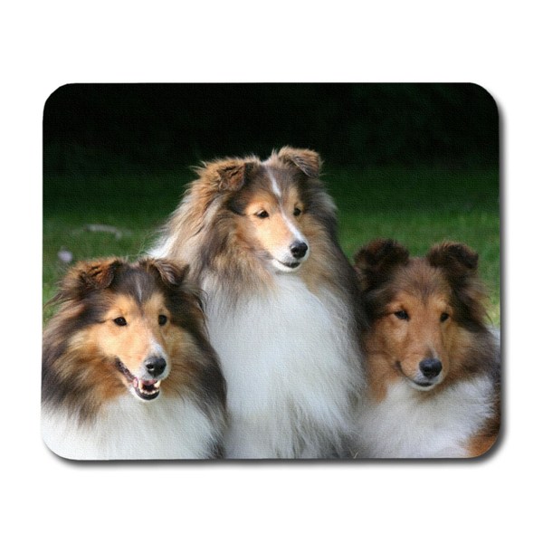 Shetland Sheepdogs Musmatta multifärg one size