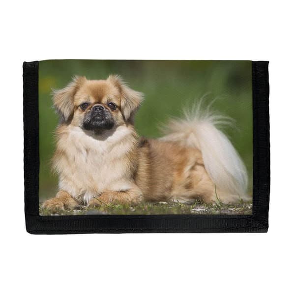 Hund Tibetansk Spaniel Plånbok