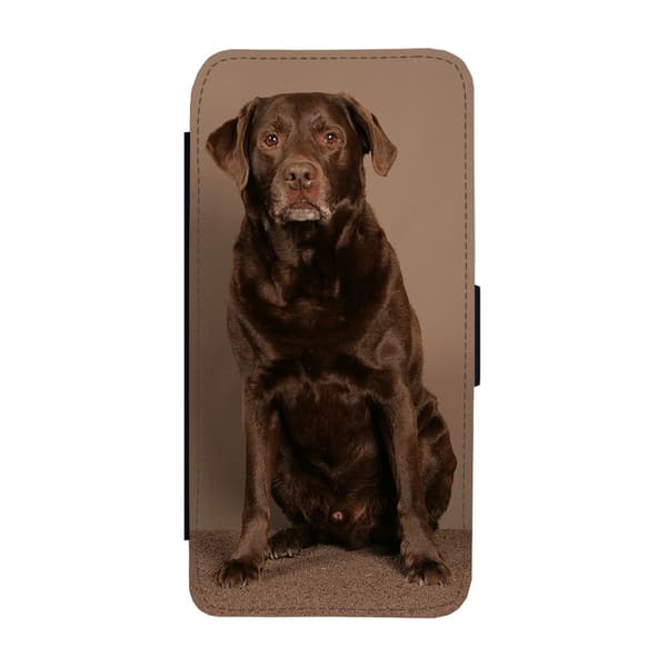 Brun Labrador Samsung Galaxy A17 Flip Mobilfodral