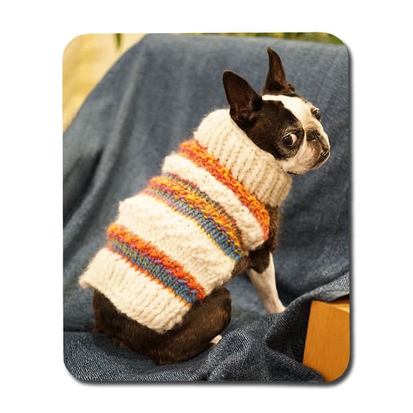 Hund Bostonterrier Musmatta
