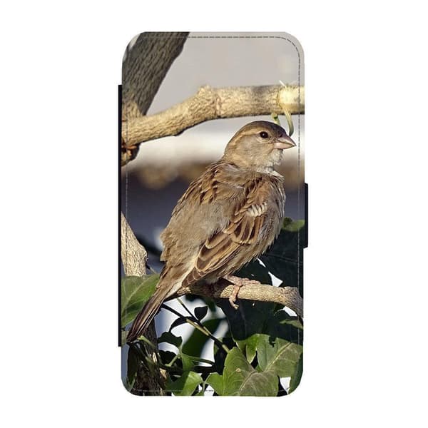 Fågel Gråsparv iPhone 12 Mini Flip Mobilfodral