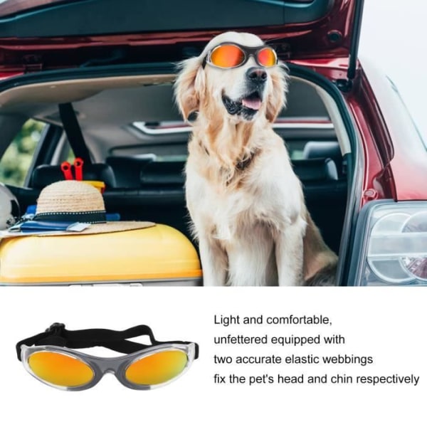 Garosa Pet Supplies Hund Solglasögon UV-skydd Hundglasögon Ögonskydd