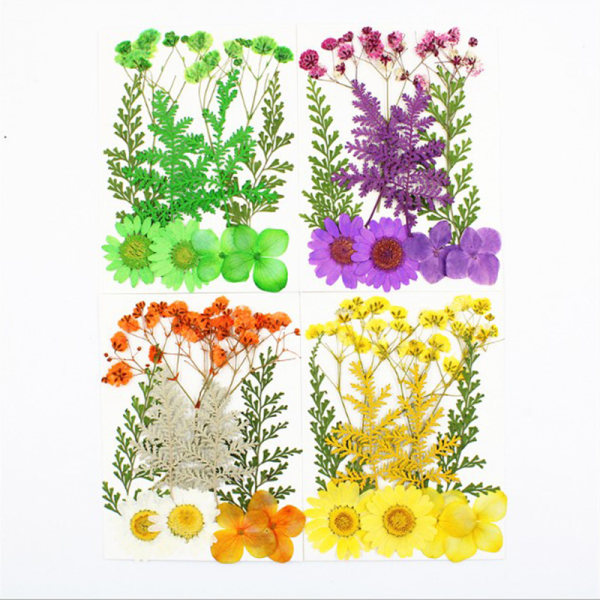 Pressade blommor Blandade torkade blommor Gör-det-själv-konst Blommor DIY-konstflora Blue