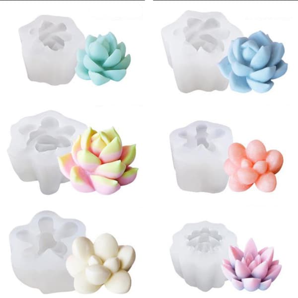 DIY-suckulenter Cactus s Silikonepoxihartsform Handgjorda form A