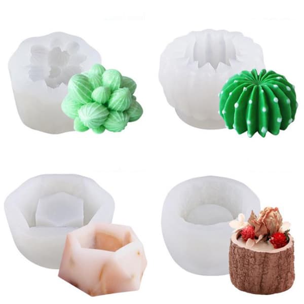 DIY-suckulenter Cactus s Silikonepoxihartsform Handgjorda form D