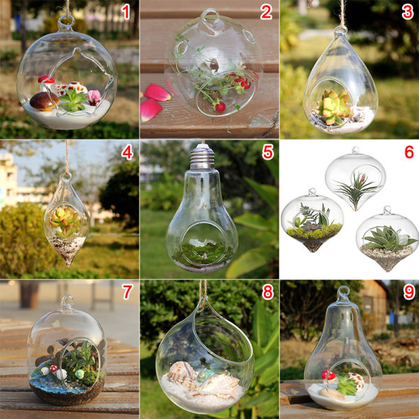 Hängande Transparent Ball Glas Flower er Vas Terrarium Landsca 13