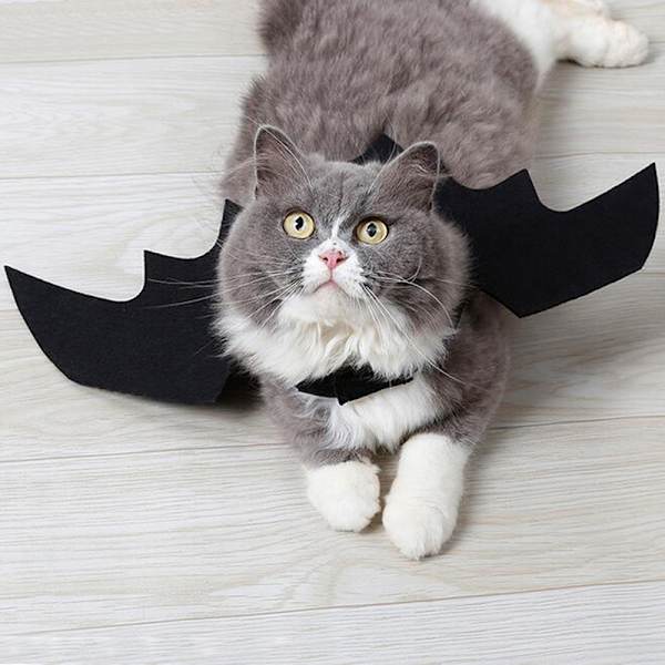 Härligt för små hundar katt fladdermus vingar halloween vingar