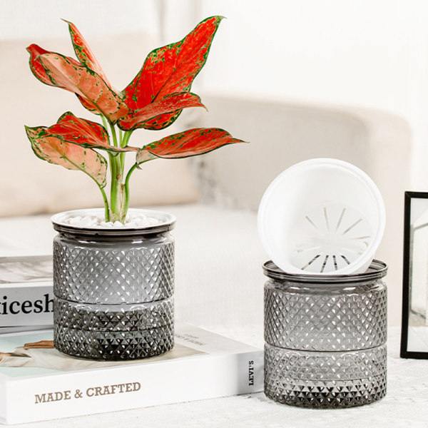 Självbevattnande blomkruka inomhus Succulent Hydroponic s Pot Mini C