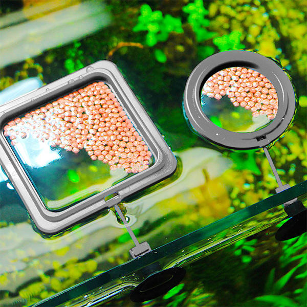 Akvarium matningsring fisktank station flytande tråg matare en Black2