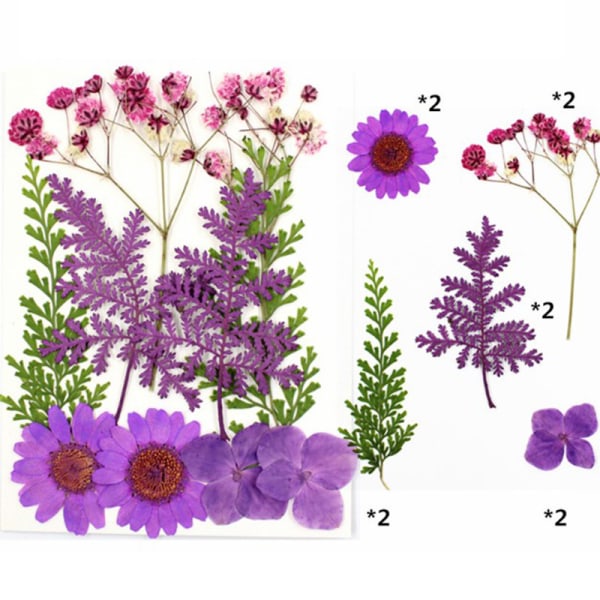 Pressade blommor Blandade torkade blommor Gör-det-själv-konst Blommor DIY-konstflora Purple
