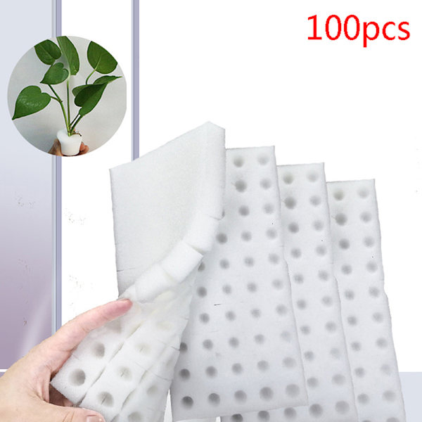 100st vit långsvamp Soilless Hydroponic Vegetables Nursery
