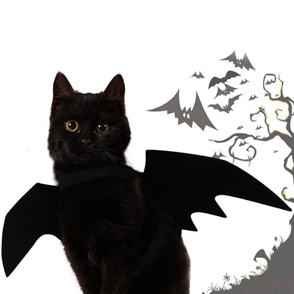 Härligt för små hundar katt fladdermus vingar halloween vingar