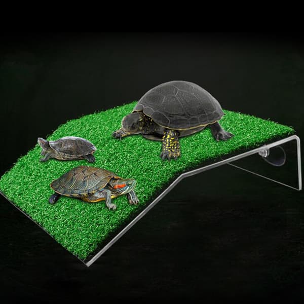 Turtle Basking Torkplattform Sugkopp Sköldpaddsklättring fo L
