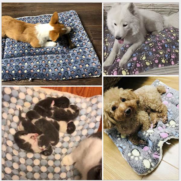 Hundsäng Pet Kudde Filt Mjuk Fleece Cat Cushion Puppy Sofa A