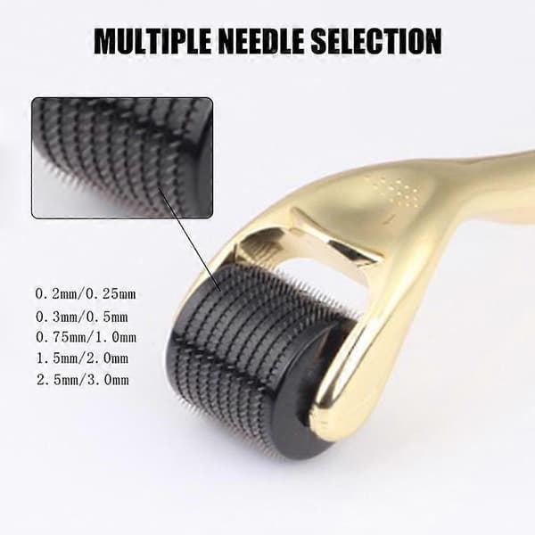 0.2/0.25/0.3/0.5/0.75mm Mikronåle Derma Roller Titanium Microneedle Roller til Ansigt Krop_Supergave Sølv 0.5mm Silver