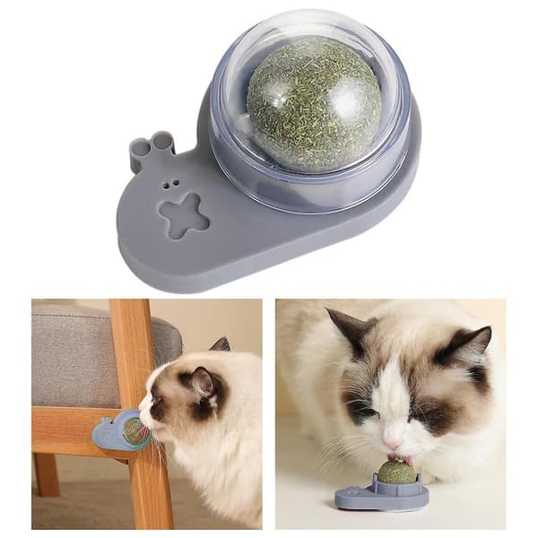 Kattenipkuglelegetøj Selvklæbende Interaktivt Tandslibelegetøj Bord Gray