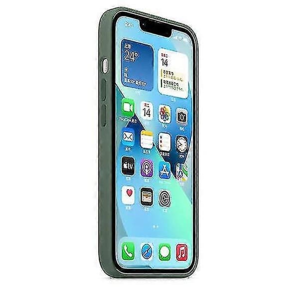 Silikondeksel med Magsafe for iPhone 13 Mini Eucalyptus